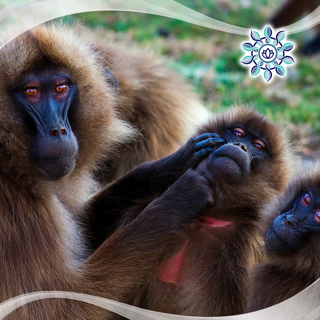 Анализ по волосам